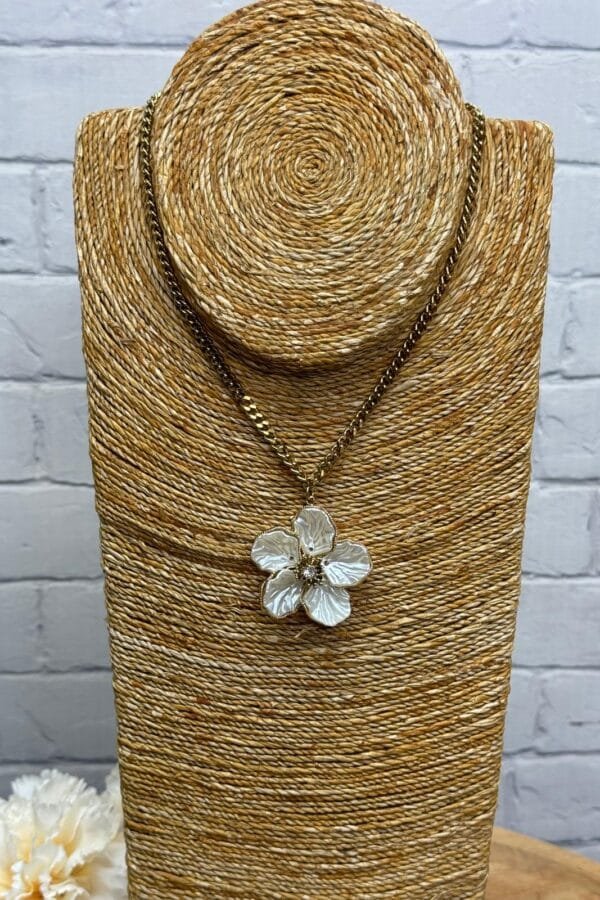 Collar Acero ca0158