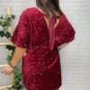 Vestido Aybar T-46/50 Con Lentejuelas