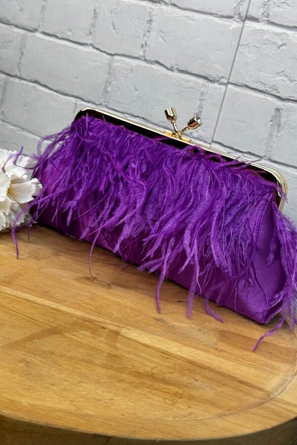 Bolso fiesta M2308A-4 Con Plumas