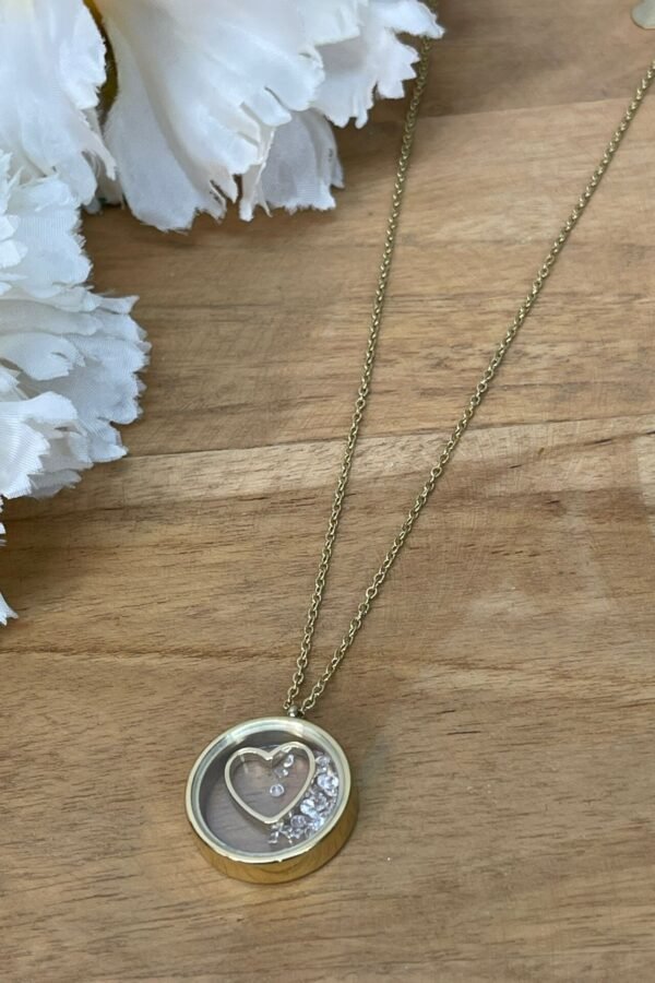 Collar Acero ca0202