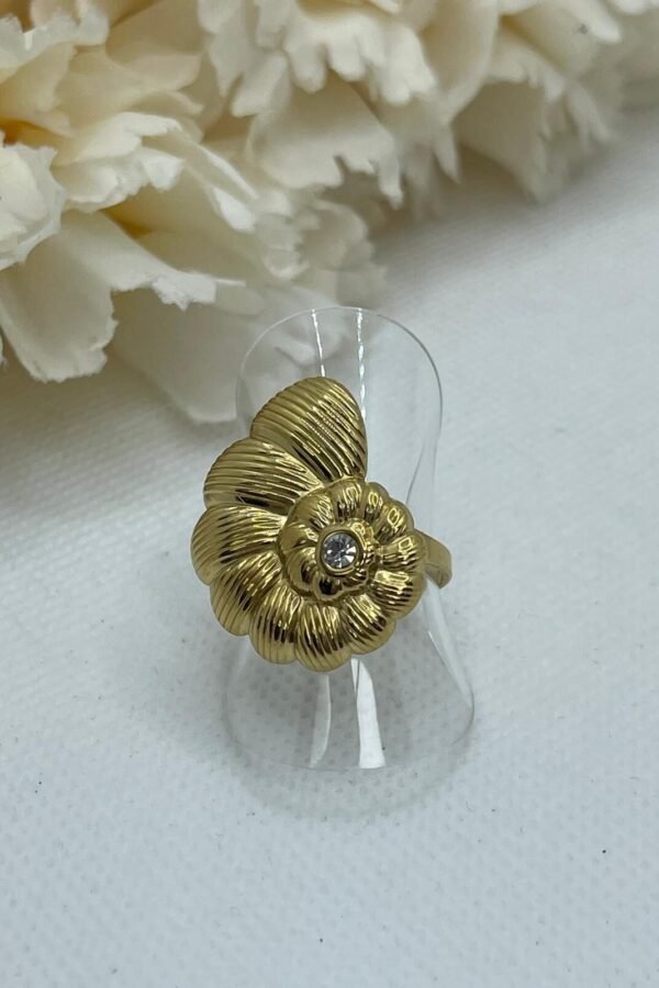 Anillo Acero AC0163