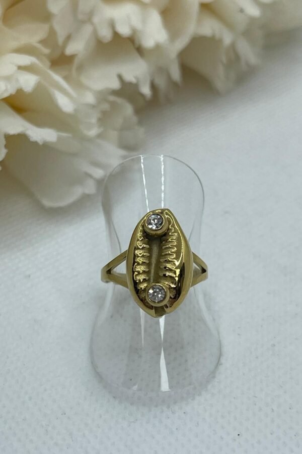 Anillo Acero AC0164