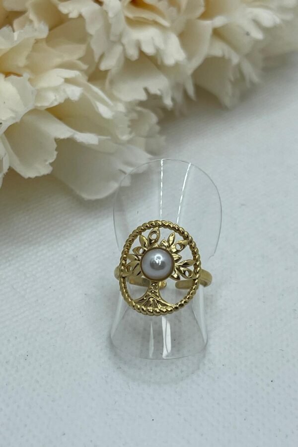 Anillo Acero AC0166