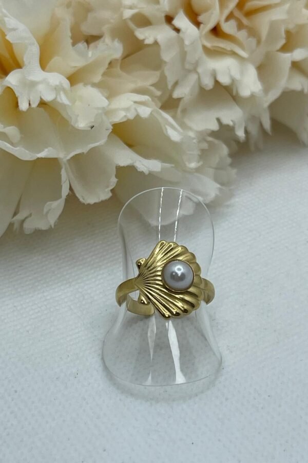 Anillo Acero AC0170
