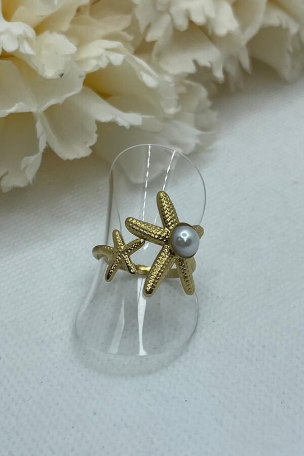 Anillo Acero AC0173