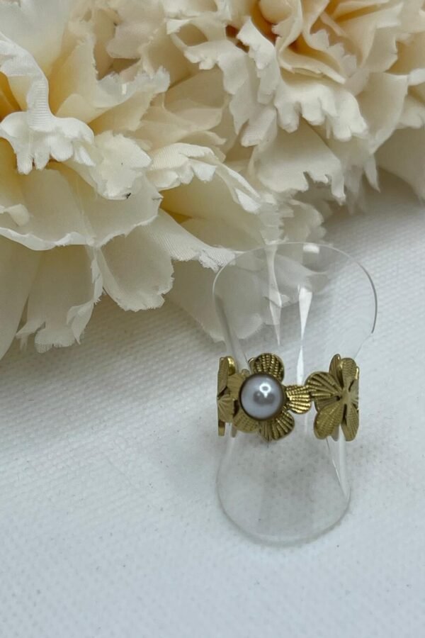 Anillo Acero AC0174