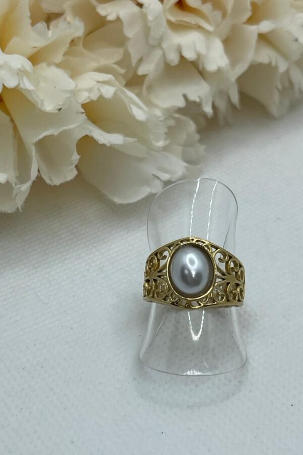 Anillo Acero AC0175