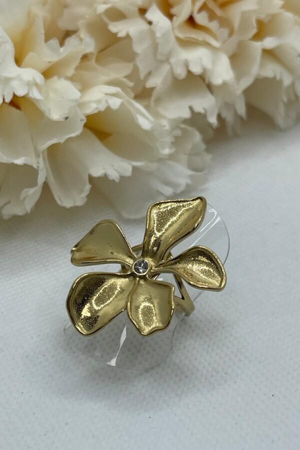 Anillo Acero AC0178