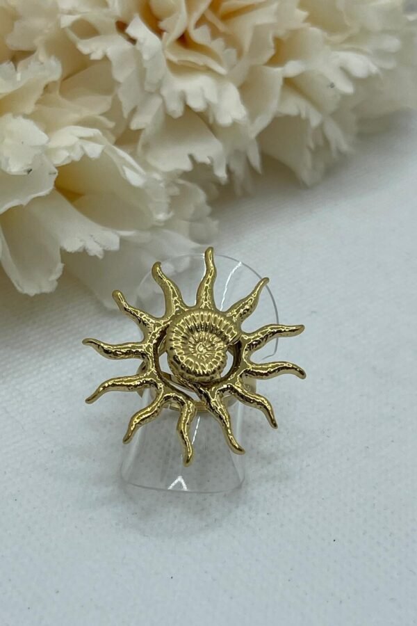 Anillo Acero AC0179