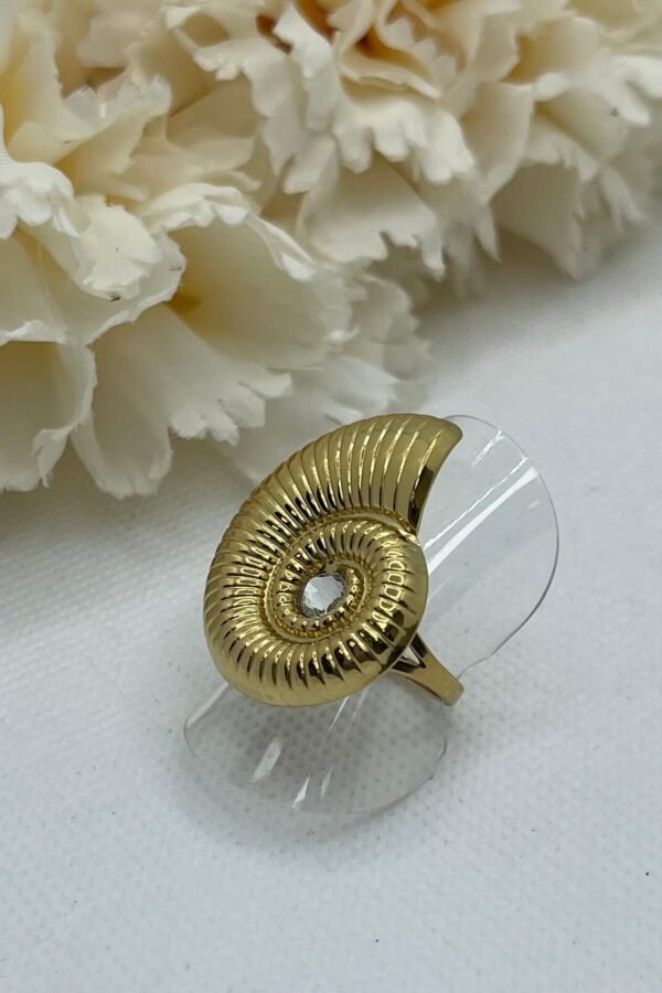 Anillo Acero AC0180
