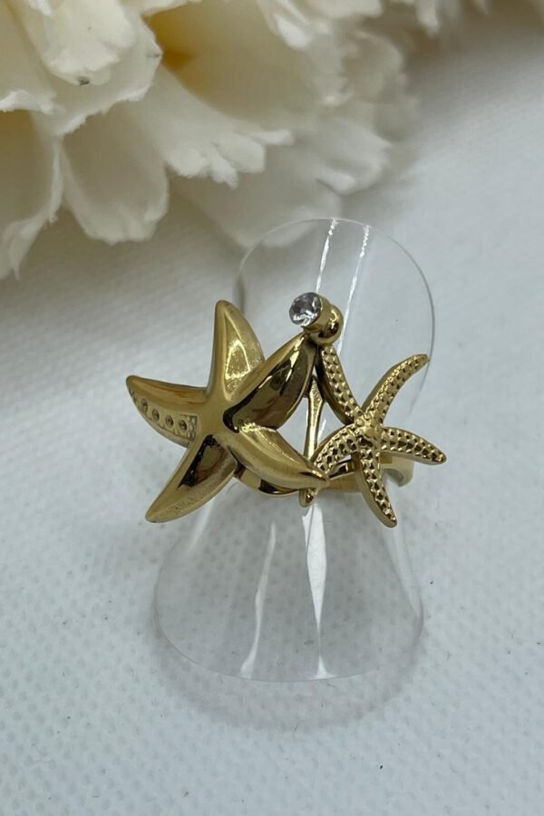 Anillo Acero AC0181