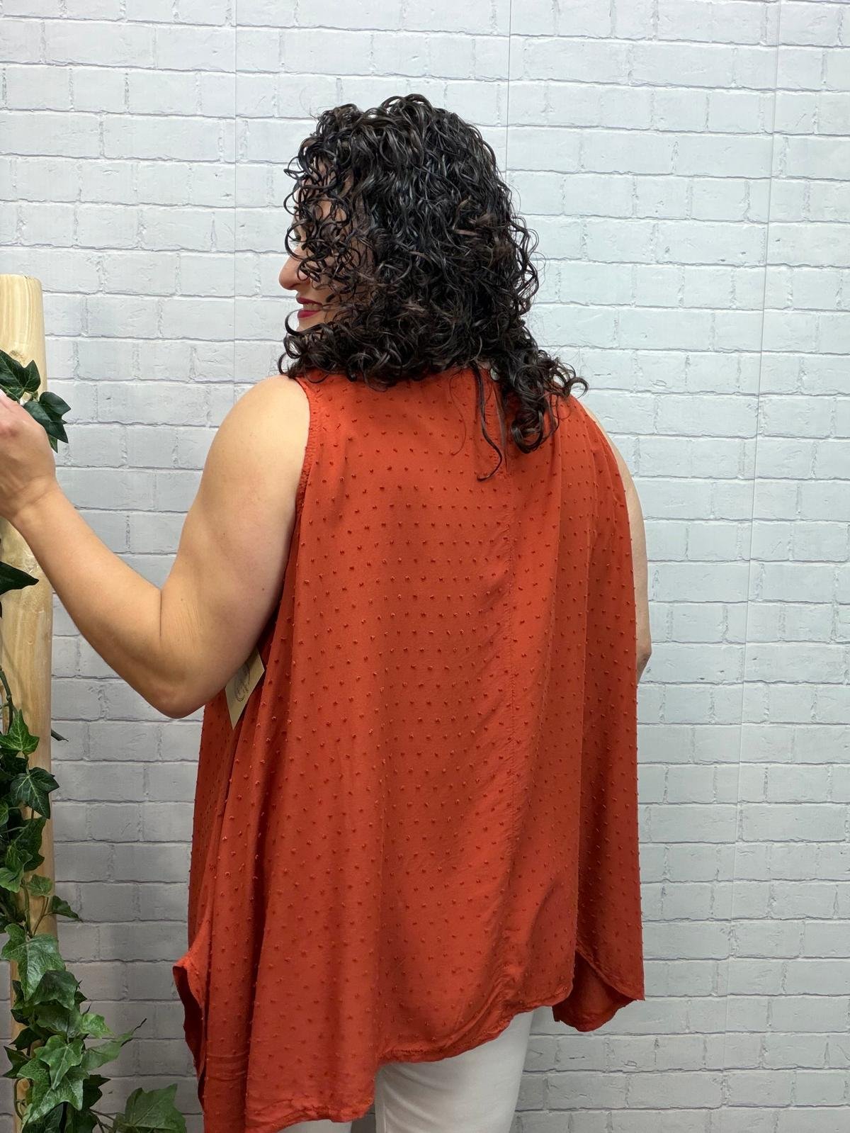Blusa Gimena Teja T-44/52 Plumeti